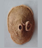 Cosmetalepas massieri